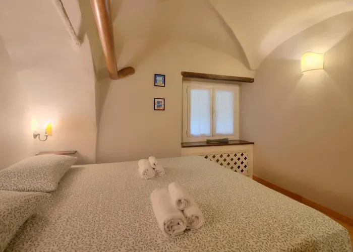 Exposed Stones - History And Aquarium Janov